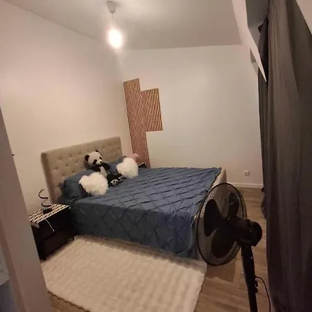 T2 A Louer Apartment